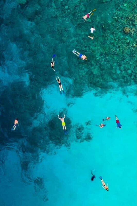 Snorkel in Cozumel and visit El Cielo - Analyzing the Experience: What You Can Expect