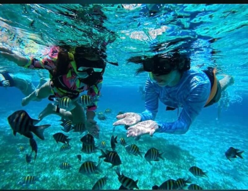 Snorkel in Cozumel and visit El Cielo - The Value Proposition