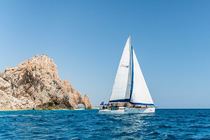 Snorkel in Luxury Sailing Boat + Food and Premium Drink! - Transportation and Fees