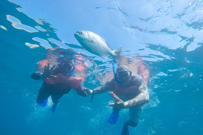 Snorkel in Luxury Sailing Boat + Food and Premium Drink! - Meeting and Pickup Information