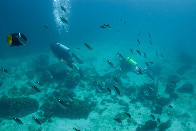 Snorkel in Marietas Island - What to Bring and Expect