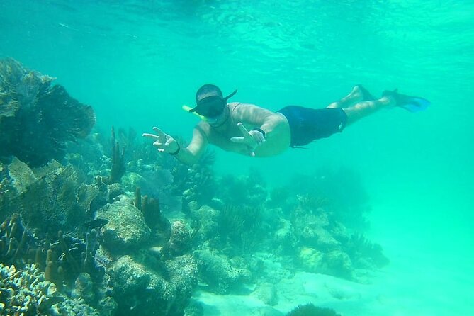 Snorkel in the Costa Maya Reef and Rest on the Beach - Accessibility and Medical Considerations