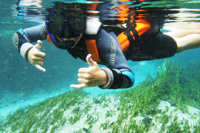 Snorkel in the Sucuri River - Immersive Snorkeling in Sucuri River