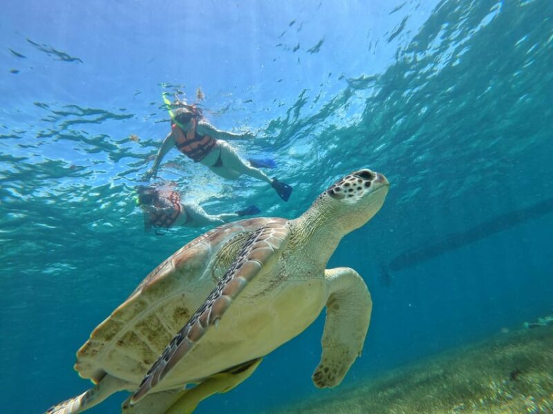 SNORKEL IN TULUM REEF, BOAT RIDE AND CALETA - Tulum National Park Snorkeling