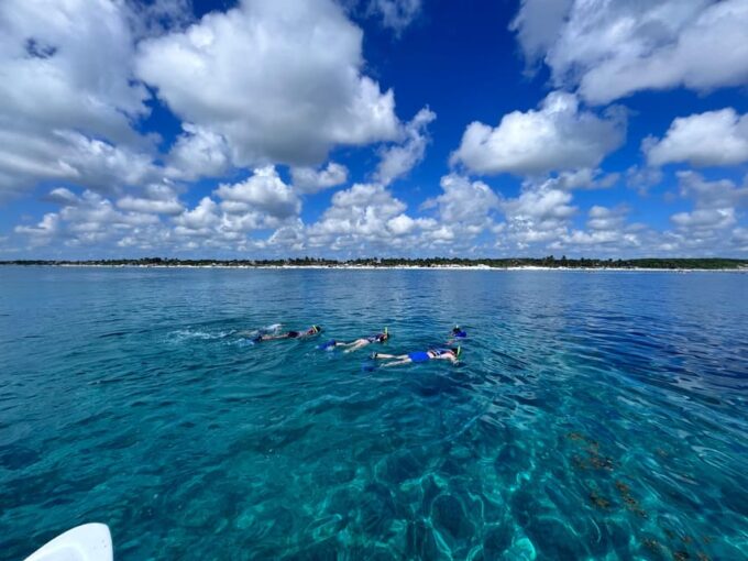 SNORKEL IN TULUM REEF, BOAT RIDE AND CALETA - Marine Life and Cenote Exploration