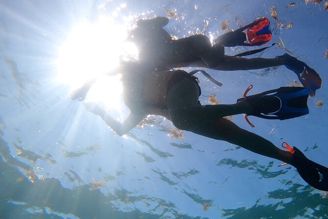 Snorkel Key Largo on Our COMBO Boat With Snorkeling Gear INCLUDED - Marine Wildlife Sightings