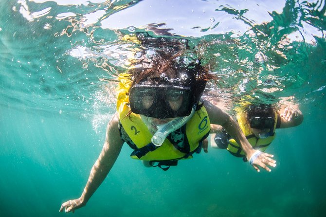 Snorkel, Lunch & Sail in Cabo San Lucas - Taco Buffet and Unlimited Drinks