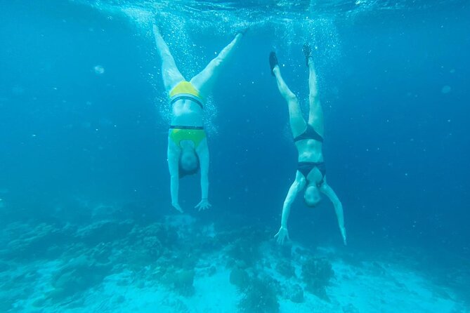 Snorkel Marathon - Customer Feedback