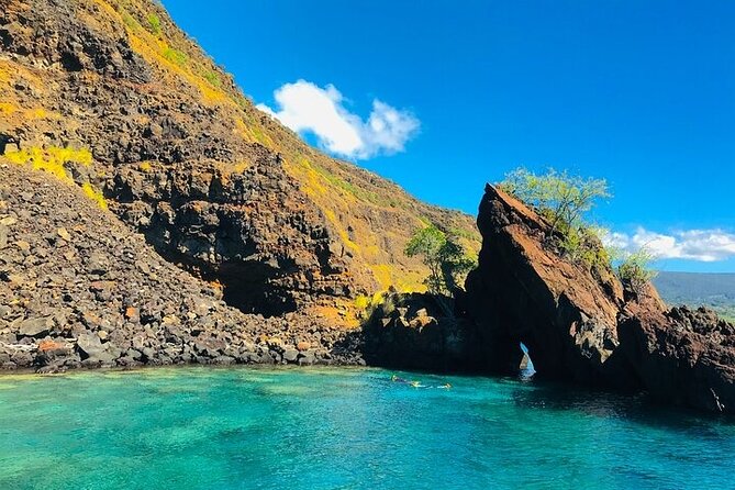 Snorkel on a Navy Boat in Kealakekua Bay Reef - Marine Life Sightings