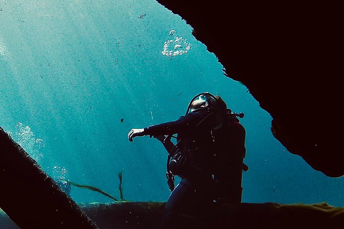 Snorkel Or Dive The Amazing Rainbow River Florida - Best Time to Spot Wildlife