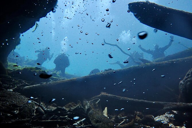 Snorkel Or Dive The Amazing Rainbow River Florida - What to Wear and Bring