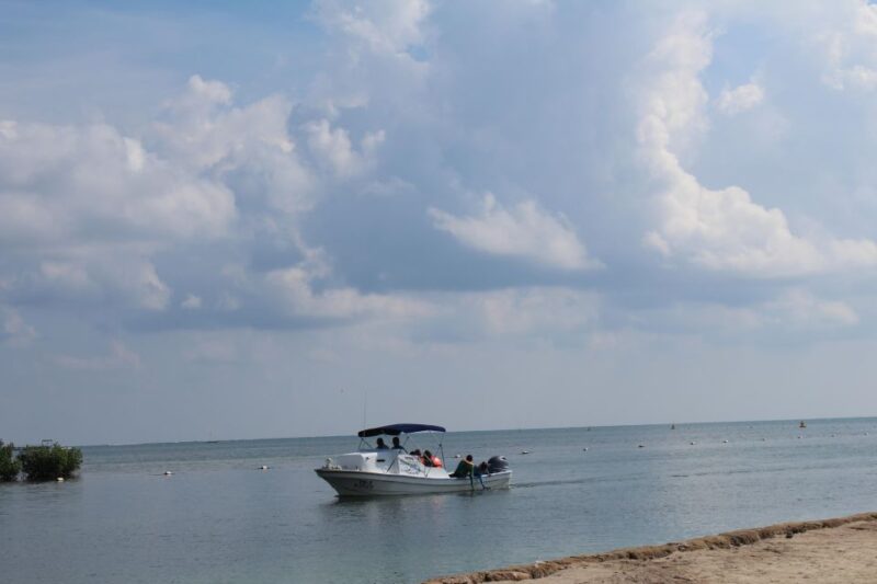 Snorkel Paradise Cancun 6 in 1 With Turtles and Transfer - Exclusions and Restrictions