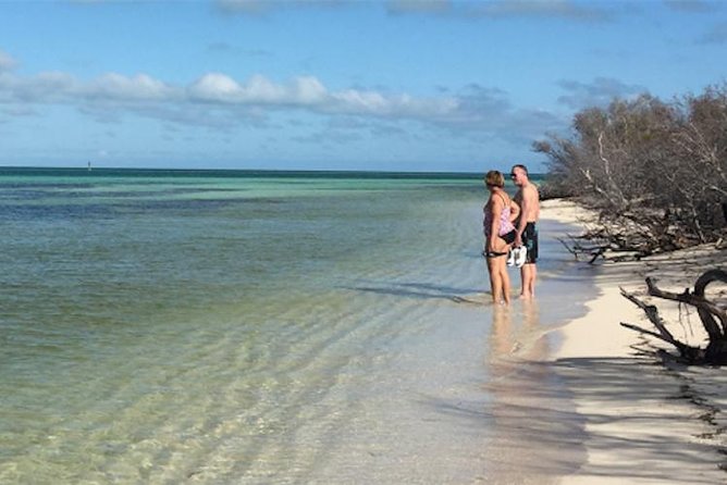Snorkel, Sandbar & Dolphin Excursion - Activity Details
