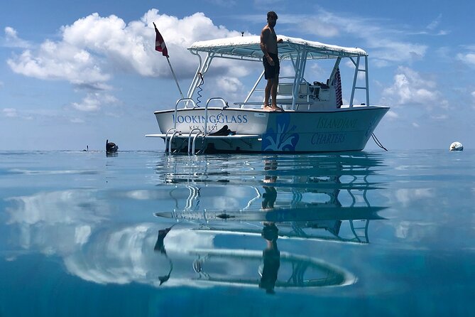 Snorkel, Sandbar & Dolphin Excursion - Underwater Exploration