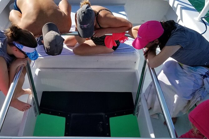 Snorkel, Sandbar & Dolphin Excursion - Customizable Itinerary