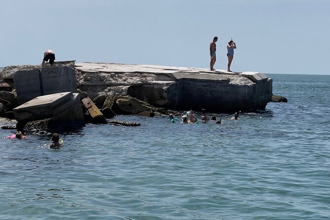 Snorkel, Shelling in St. Petersburg, FL, 3 Hours - Key Points