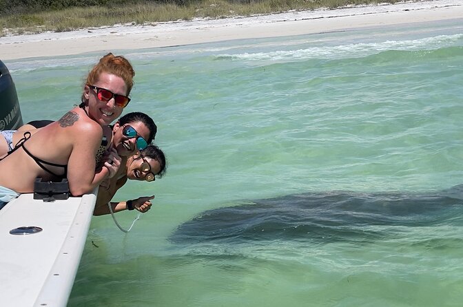 Snorkel, Shelling in St. Petersburg, FL, 3 Hours - Health and Accessibility Information