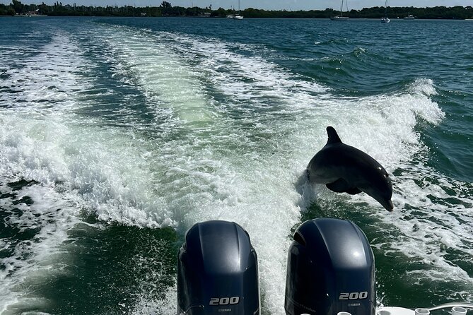 Snorkel, Shelling in St. Petersburg, FL, 3 Hours - Booking and Availability