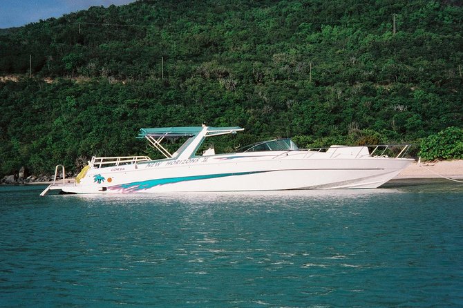Snorkel St. John Tour From Sapphire and Margaritaville - Snorkeling Activities
