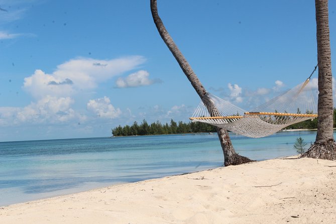 Snorkel/Swim With the Turtles Experience - Accessibility and Inclusion for All
