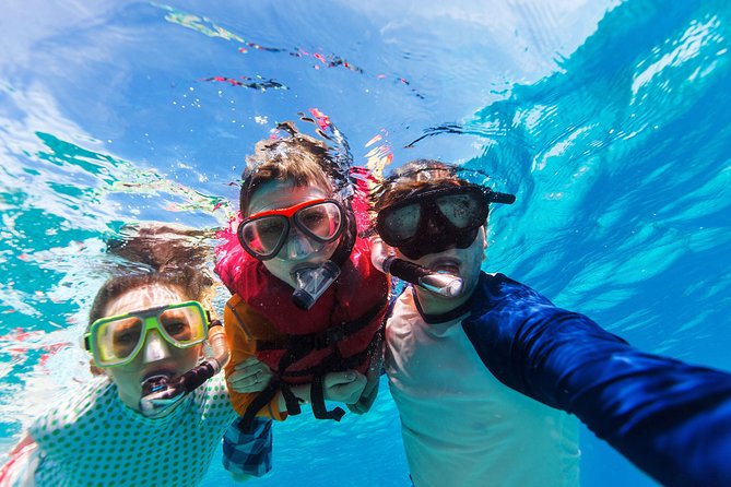 Snorkel & Swim With Turtles. Semi Private Tour to Buck Island & Honeymoon Beach - Crew Performance and Interaction