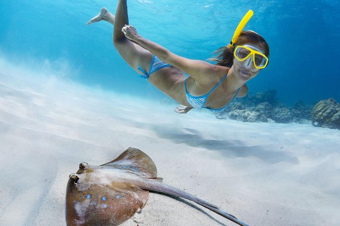 Snorkel & Swim With Turtles. Semi Private Tour to Buck Island & Honeymoon Beach - Booking and Meeting Information