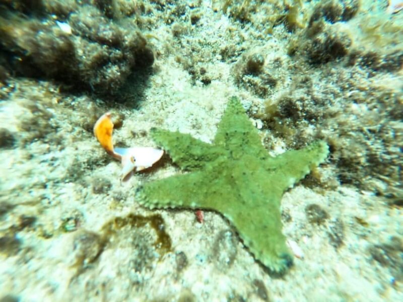 SNORKEL & TEQUILA TASTING - Activities Included