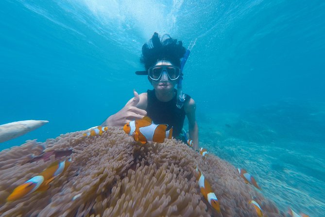 Snorkel the Beautiful Blue Lagoon - Good To Know