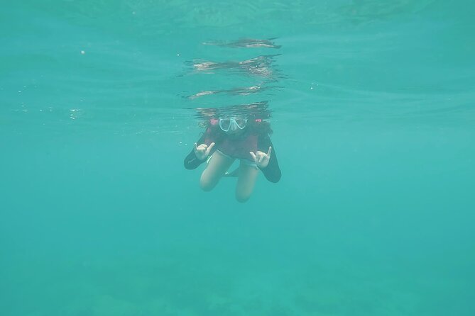 SNORKEL the BEAUTIFUL Reefs With Turtles, Angelfish, and More! - Key Points