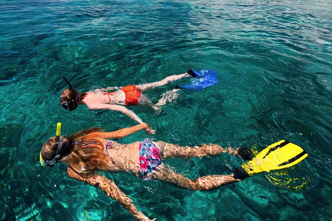 Snorkel the Perfect Tropical Isle Silk Caye With Turtles, Rays and Sharks - Snorkeling Encounters With Nurse Sharks