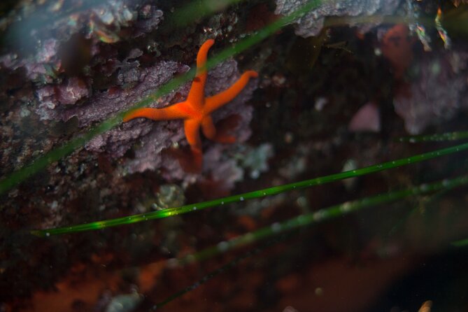 Snorkel Tour at Magic Island - Inclusions and Amenities