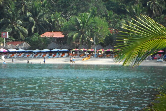 Snorkel Tour in Las Gatas Water Break - Booking and Cancellation