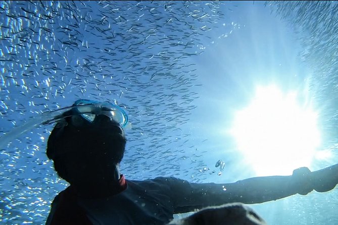 Snorkel Tour in Paraggi Bay - Good To Know