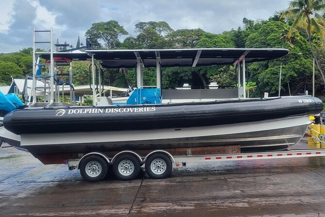 Snorkel Tour to Captain Cook Monument Kailua-Kona, Big Island - Activity Details