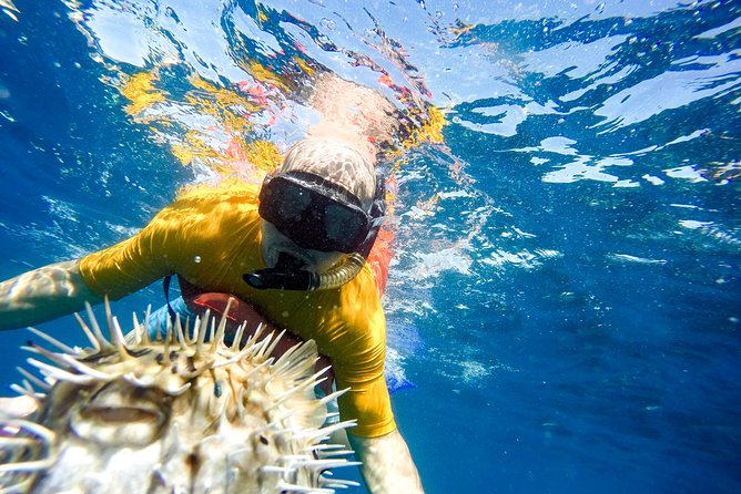 Snorkel Tour to Pelican Rock by Glass-Bottom Boat With Souvenir Photos - Snorkeling at Pelican Rock