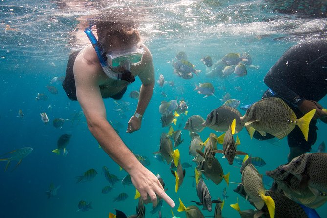 Snorkel Tour to Pelican Rock by Glass-Bottom Boat With Souvenir Photos - Departure Times and Restrictions