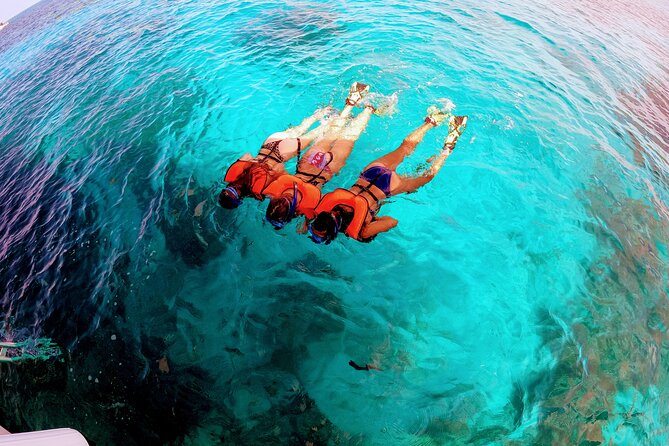Snorkel Tour - Visit 2 Shallow Reefs John Pennekamp State Park - Included Amenities