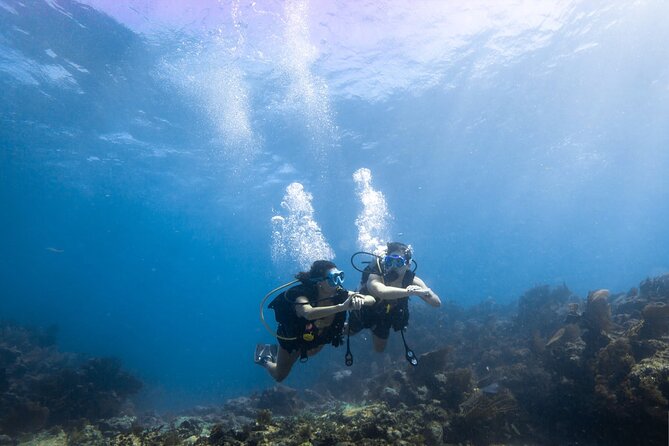 Snorkel Tour - Visit 2 Shallow Reefs John Pennekamp State Park - Participant Requirements