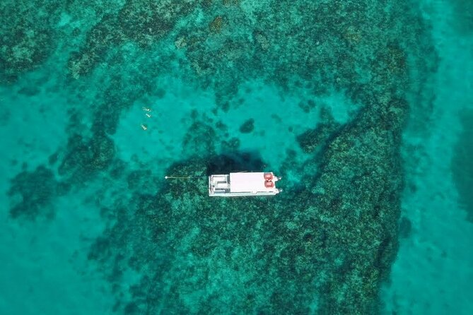 Snorkel Tour - Visit 2 Shallow Reefs John Pennekamp State Park - Tour Reviews
