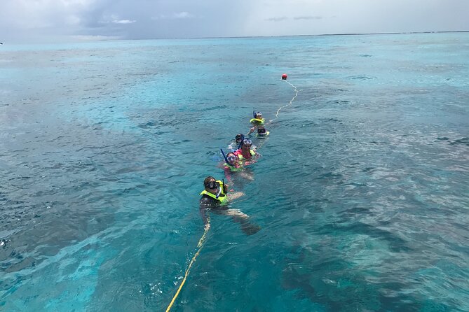 Snorkel Tours of the Key Largo Reef for up to 6 People - Key Points