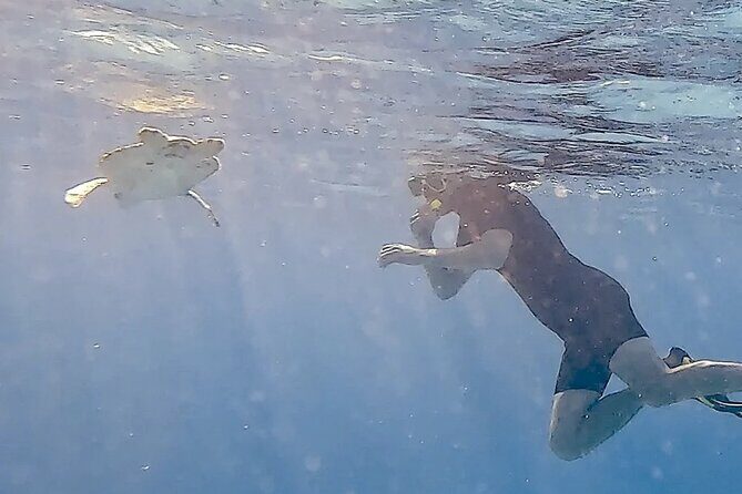Snorkel with Turtles & see the Flamingos - Logistics and Practicalities