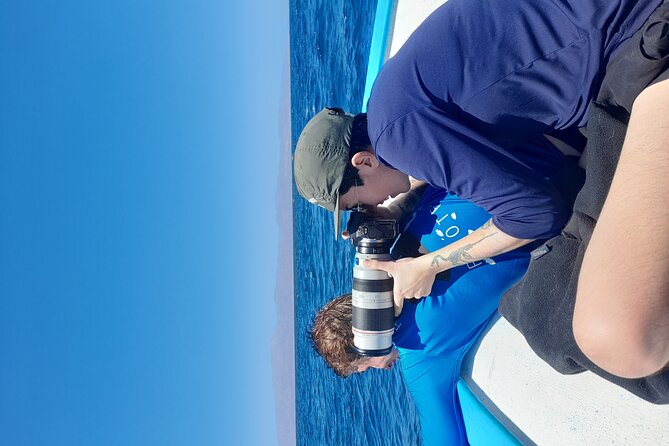 Snorkel With Whale Sharks Includes Equipment & Transportation - Health and Safety Restrictions