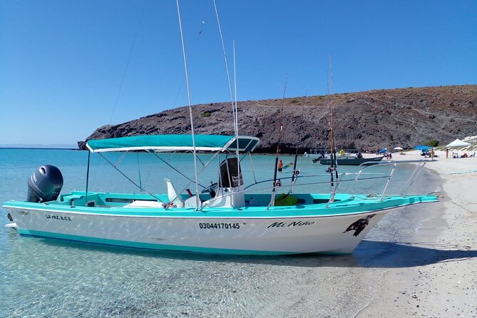 Snorkel With Whale Sharks Includes Equipment & Transportation - What to Expect