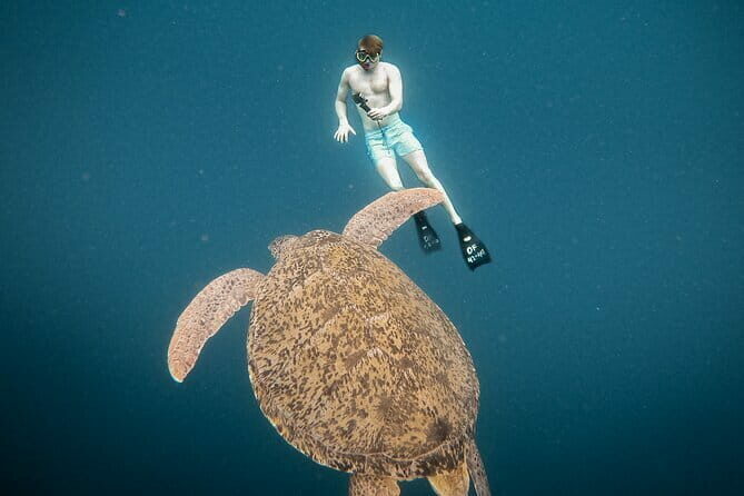 Snorkeling 3 Spots with GoPro & West Coast Tour Nusa Penida - Who Will Love This Tour?