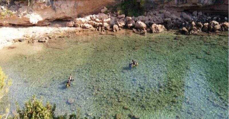 Snorkeling Activity Ametlla De Mar - Key Points