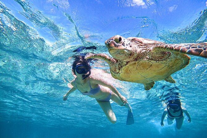 Snorkeling Activity in Miyako Japan - Additional Participant Requirements