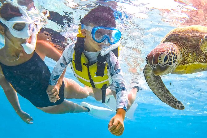 Snorkeling Activity in Miyako Japan - Liability and Insurance Information