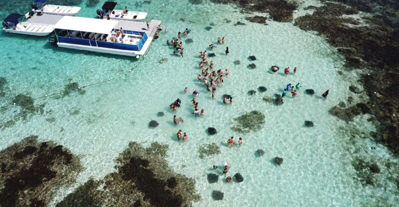 Snorkeling Activity in Stingray City Antigua - Transfer Inc. - Booking and Cancellation