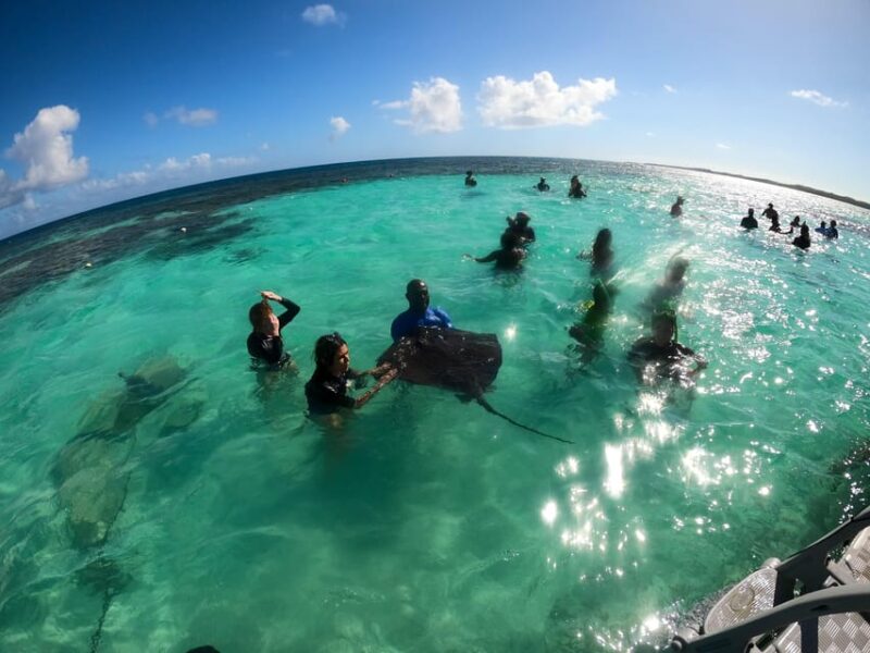Snorkeling Activity in Stingray City Antigua - Transfer Inc. - Transportation and Pickup