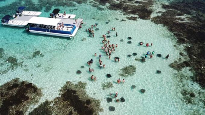 Snorkeling Activity in Stingray City Antigua - Transfer Inc. - Customer Reviews